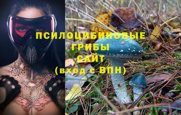 не бодяженный Аркадак