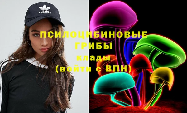 винт Арсеньев